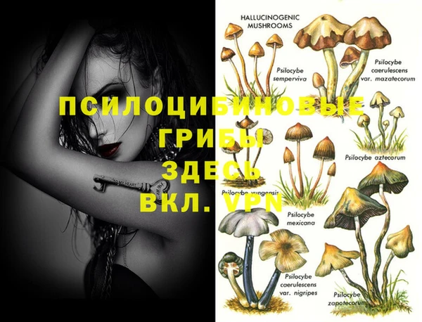 кристаллы Арсеньев