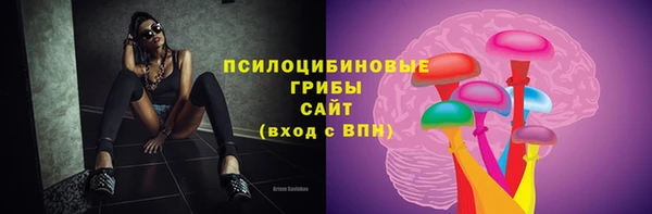 дмт Армянск